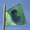 Dino Base Camp Flag 90 x 60 cm (Green) view 1