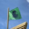 Dino Base Camp Flag 90 x 60 cm (Green) view 2