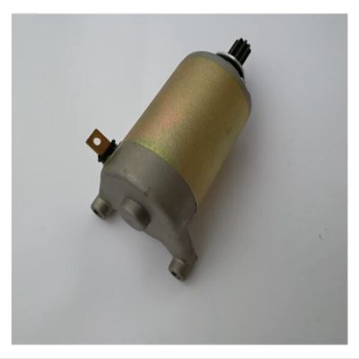 Demasiado DR125 DR200 SE200 DF200 SE125 Engine Start Motor Generator