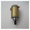 Demasiado DR125 DR200 SE200 DF200 SE125 Engine Start Motor Generator view 3