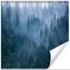 Muralo 3D Vinyl Wallpaper, Forest, Trees, Fog, XXL Art Print - 208 x 146 cm view 3