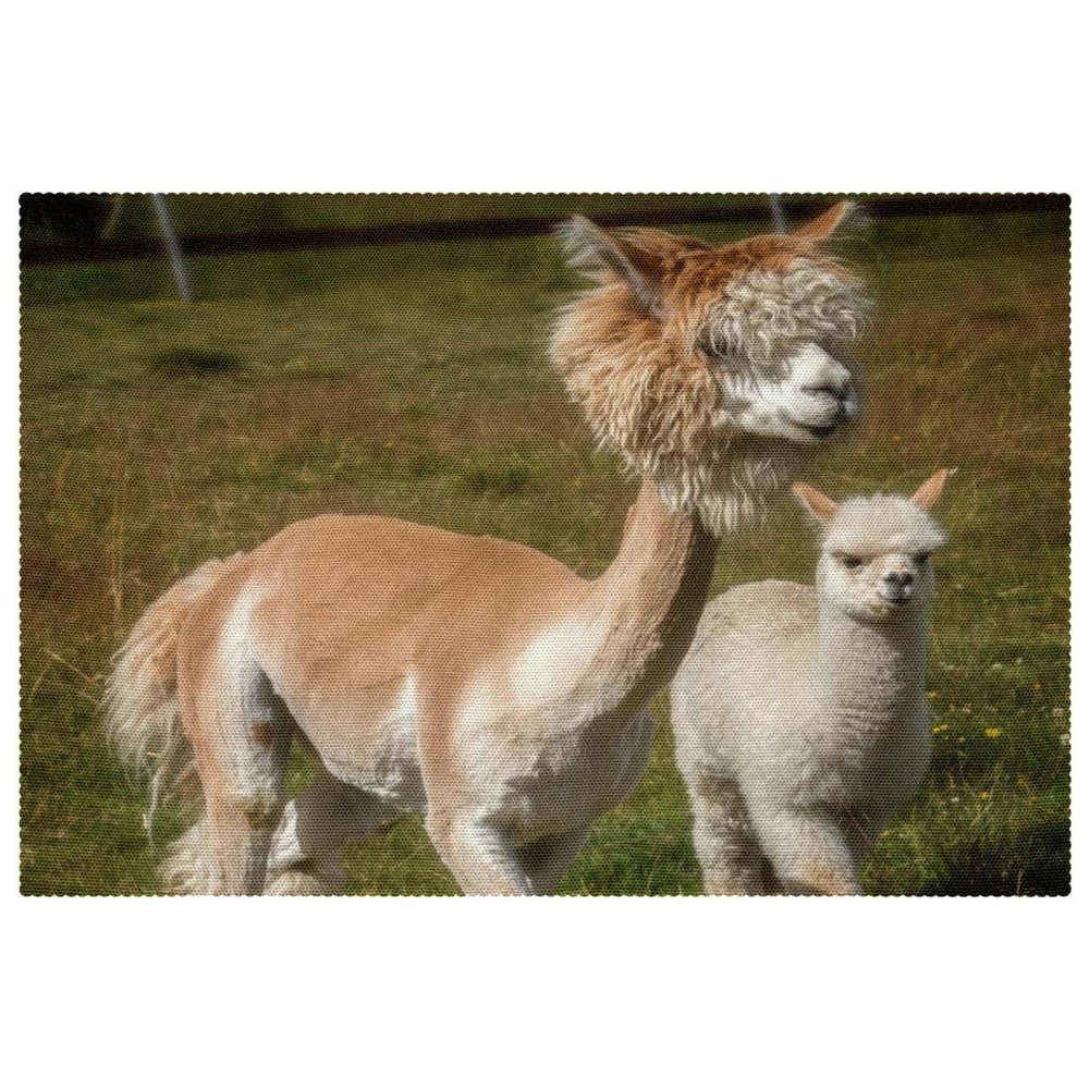 Cute Alpaca Placemats, Heat-Resistant Washable Oxford Cloth, Set of 4