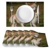 Cute Alpaca Placemats, Heat-Resistant Washable Oxford Cloth, Set of 4 view 2