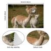 Cute Alpaca Placemats, Heat-Resistant Washable Oxford Cloth, Set of 4 view 4