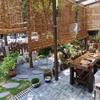 Outdoor Bamboo Reed Roman Shade, Light-Filtering Privacy Screen view 2