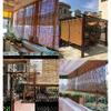 Outdoor Bamboo Reed Roman Shade, Light-Filtering Privacy Screen view 4
