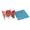 Human Lung Alveolus and Alveolar Epithelium Anatomical Model view 3