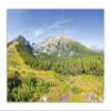 Wallario Glass Stove Cover/Splash Guard, 2-Piece, 70 x 52 cm, Tatra Mountain Peaks view 1