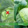 Plant Protection Garden Net, 9 x 27 m Fine-Mesh Insect Net view 2
