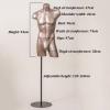 Adjustable Male Torso Mannequin with Base, Gold view 2