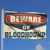 CakJuice Room Flag for Boys, Beware of Bloodhound Flag, Pool Accessory, Student Athlete Flag (30 x 45 cm) view 2