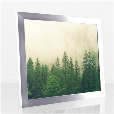 Monaldo Deluxe Picture Frame 52 x 37 cm, Brushed Aluminum Look, White Backing, Clear Acrylic Glass