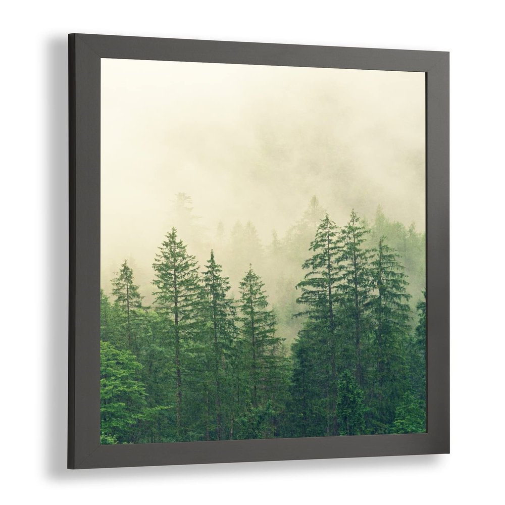 Monaldo Deluxe Poster Frame 90 x 53 cm, Graphite, White Backing, Clear Acrylic Glazing