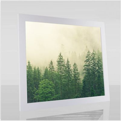 Monzetta Deluxe Poster Frame 48 × 101 cm, Matte White, Anti-Glare Acrylic