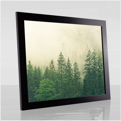 Monzetta Deluxe Poster Frame 56 x 109 cm, Matte Black, Anti-Glare Front