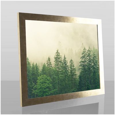 Monzetta Deluxe Poster Frame, Antique Gold, 36 x 117 cm, White Backing, Anti-Glare
