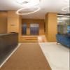 VIGOR Non-Slip Doormat, Indoor & Outdoor, Coconut Brown, 200 x 390 cm view 2