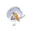 Thermomanometer Temperature and Pressure Gauge up to 120°C and 10 bar, Rear Entry, 1/4" NPT/BSPT/BSP Connection view 3