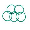 MACHSWON 50 Green FKM Fluororubber O-Rings, 67 mm OD, 63 mm ID, 2 mm Cross-Section view 2