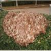 SDLLG Thickened 210D Camouflage Net, 7 x 20 m, Yellow-B view 3