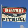 Beware of Pitbull Flag for Man Cave, Retro Home Decor, 60 x 90 cm view 2