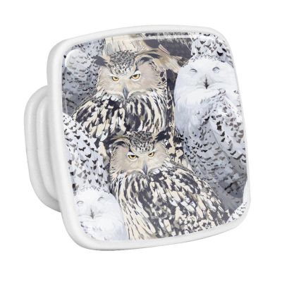 Eagle Owl and Polar Owl Drawer Knobs, 4-Piece Set