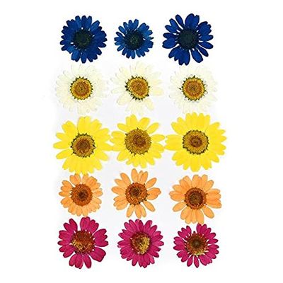 LEEYOX 1 Bag of Real Dried Flowers for DIY Crafts and Jewelry Making
