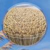 KDDFN Natural Reed Fence, Handwoven Privacy Screen, 70 x 600 cm (2.3 x 20 ft) view 4
