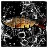 Comcapy 1-Piece 10 cm 20 g Multi-Section Hard Fishing Lure, Color B view 4