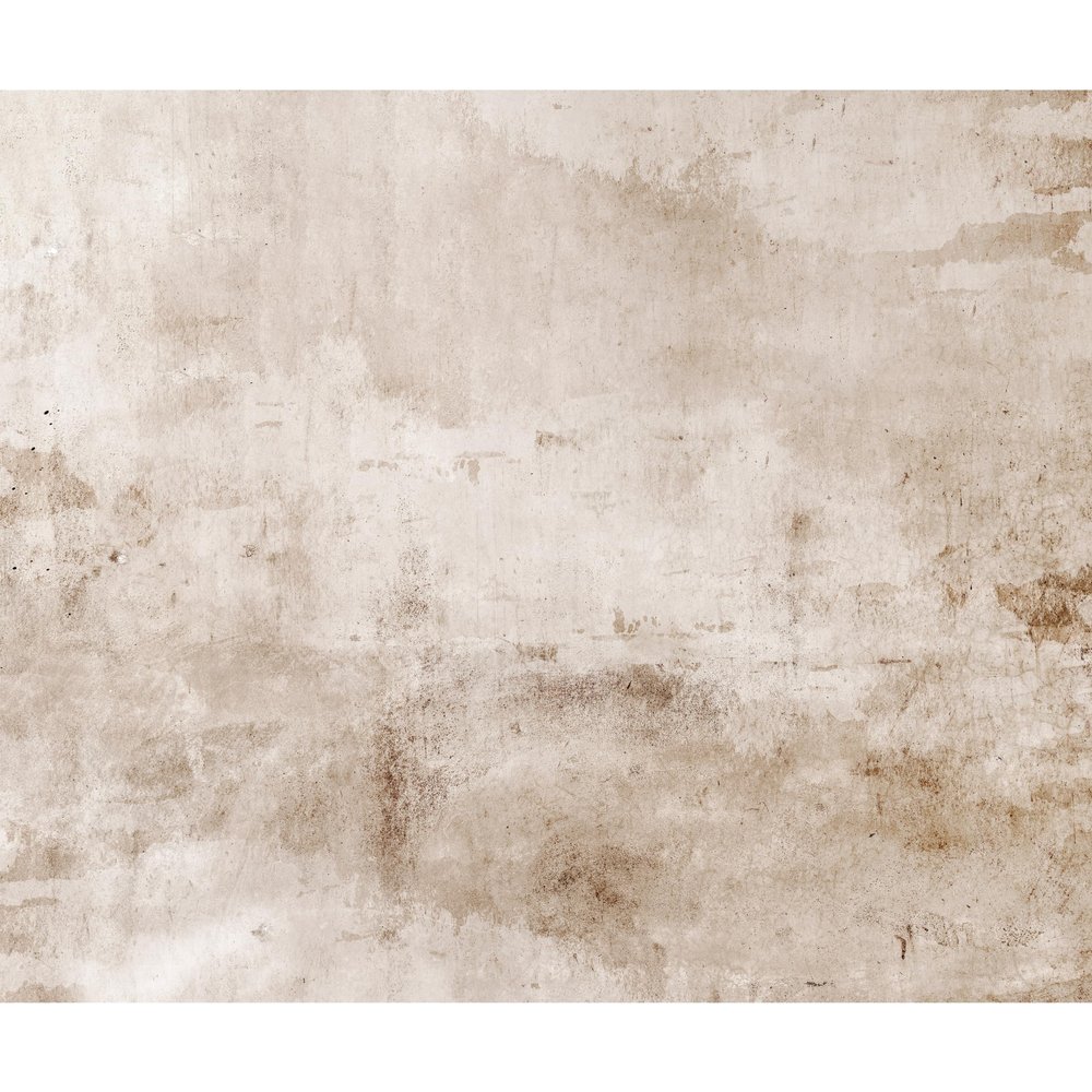 murando Concrete-Look Nonwoven Photo Wallpaper, 350 x 256 cm