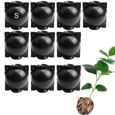 10-Piece Air-Layering Root Propagation Box Kit