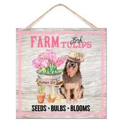 NABRAND Farm Fresh Tulips Dog Signs, Rustic Wood Decor, 30 x 30 cm
