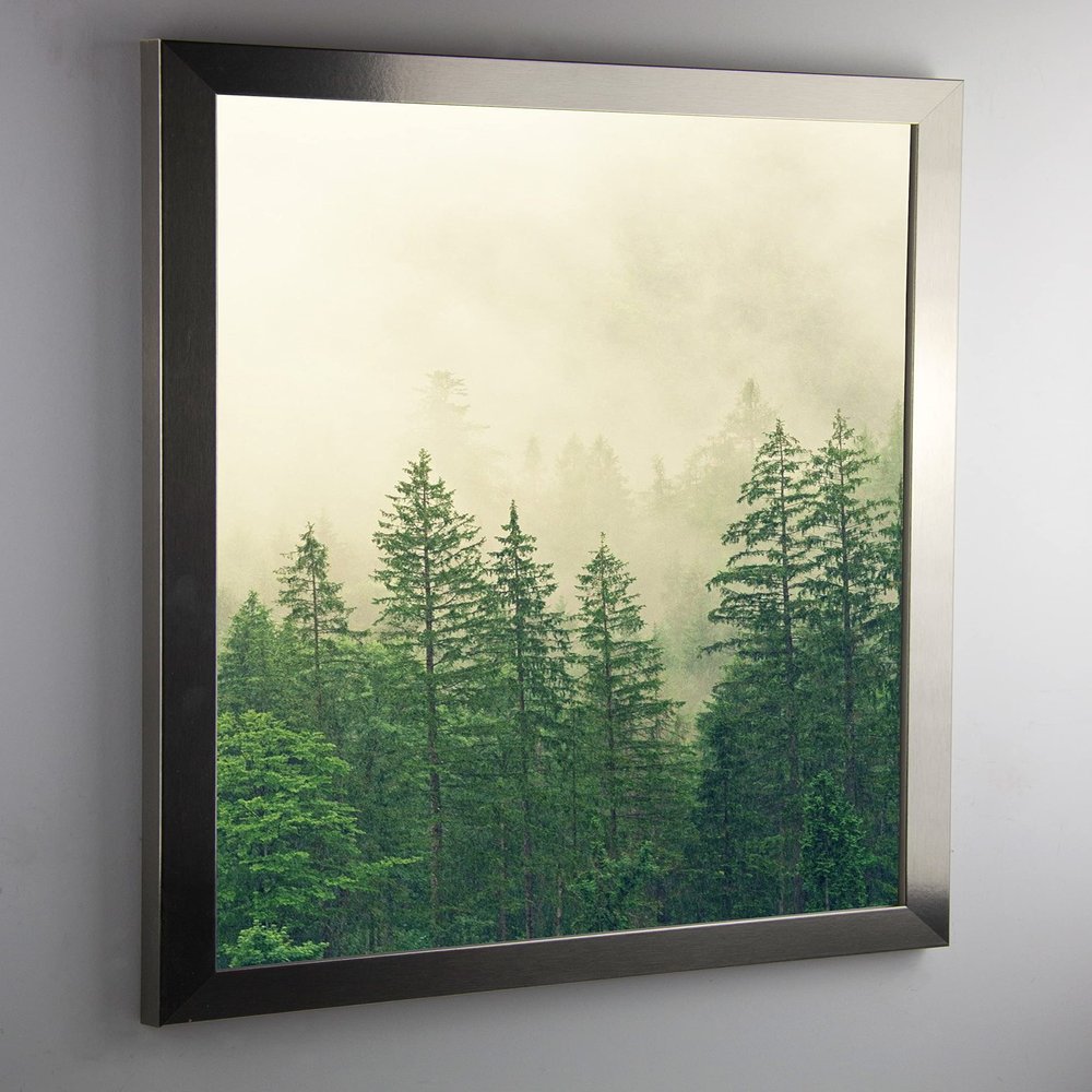Monzetta Deluxe Poster Frame, 61 × 66 cm, Stainless Steel Look, Anti-Glare Front