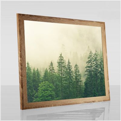Monzetta Deluxe Poster Frame 64 × 79 cm, Sonoma Oak Décor, White Back, Anti-Glare Acrylic