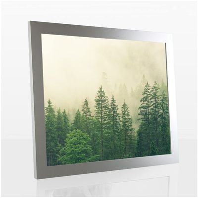 Monzetta Deluxe Picture Frame 65 x 115 cm, Matte Silver, Anti-Glare Front