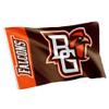 Desert Cactus Bowling Green State University Falcons BGSU 100% Polyester Indoor/Outdoor Flag, 36 x 60 in (Team Name) view 1
