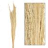 Dijk Natural Collections Light Natural Broom Grass - Thysanolaena - 90–105 cm - 100 g view 2