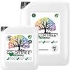 ECO-PRO Epoxy Resin with Hardener, 3.96 kg (3.0 kg A + 0.96 kg B) view 1