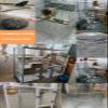 Welded Wire Mesh, 0.4 x 10 m, 1.5 x 10 cm Openings, Galvanized Steel view 3