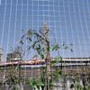 Welded Wire Mesh, 0.4 x 10 m, 1.5 x 10 cm Openings, Galvanized Steel view 4