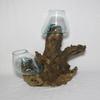 Decorative Double Glass Vases, 40 cm, on Root Wood — Second Choice view 2
