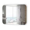 YFZNWHX Bathroom Wall Mirror with Brushed Metal Frame, Rounded Corners, Horizontal/Vertical view 1