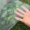 GYUEZX 12 x 17 m Transparent Polyethylene Greenhouse Film, 100 µm view 1