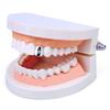 2-Piece 18K Copper CZ Hip-Hop Rapper Mouth Caps, Teeth Cosplay, Gold/Silver, Medium view 4