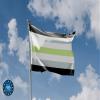 Agender Flag | Unique Design Print | Made in the EU (90 x 150 cm) view 3