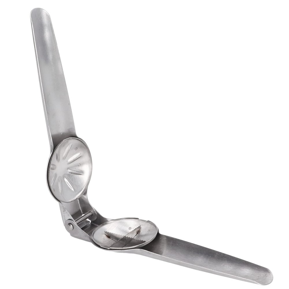 Tyenaza Stainless Steel Nut and Chestnut Cracker