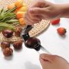 Tyenaza Stainless Steel Nut and Chestnut Cracker view 3