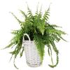 KOTARBAU Woven Willow Flower Pot, 31 cm, Gray view 3