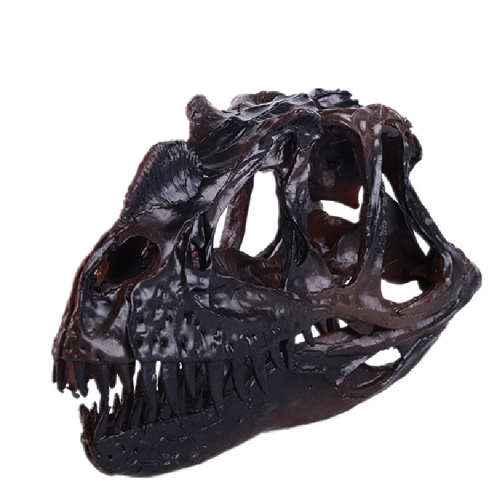 Ceratosaurus Dinosaur Skull Replica, Resin Display Model