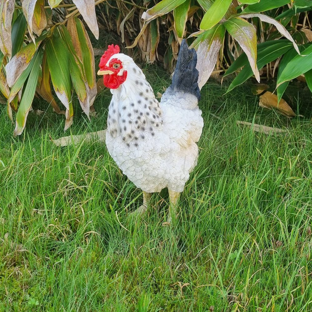Fachhandel Plus Eva Hen Garden Statue, Realistic Chicken Decor
